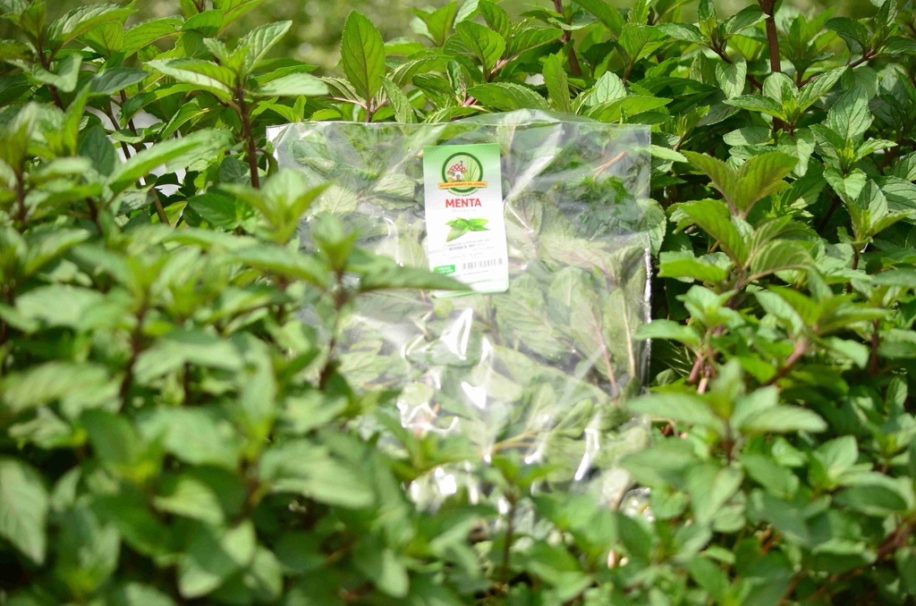 MENTA X 100GR